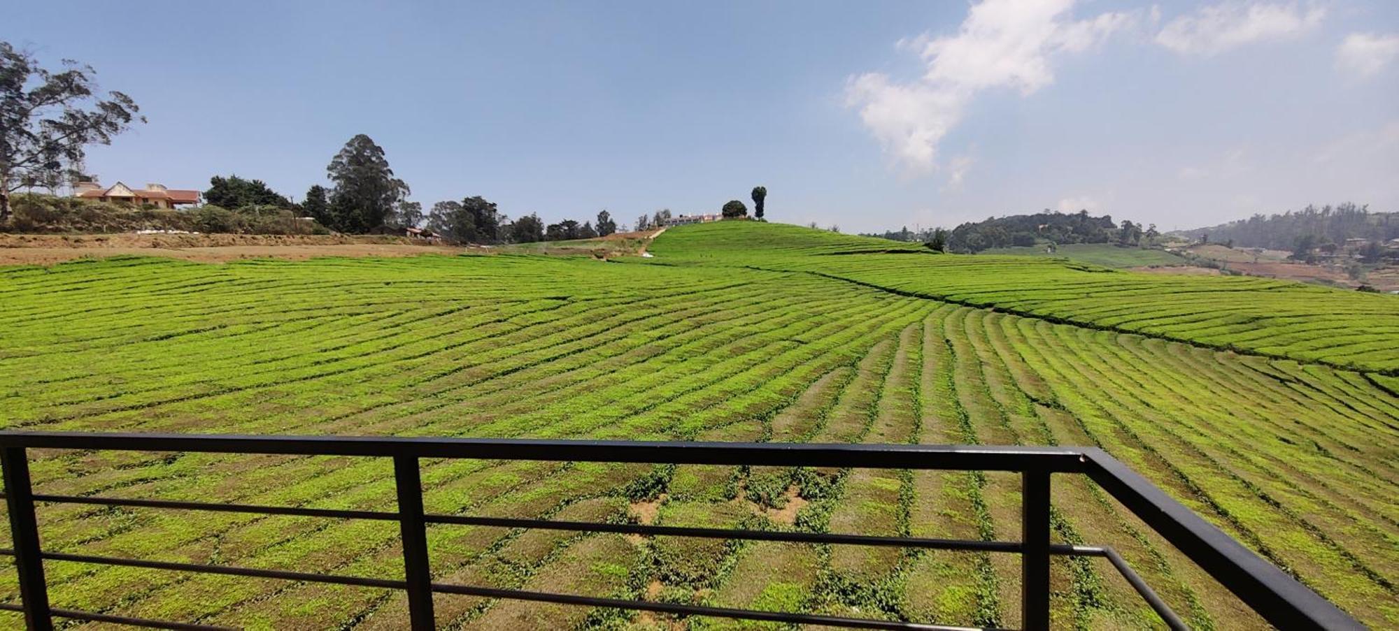 Rose Garden Enclave For Families & Executives Bed and Breakfast Ooty Eksteriør billede